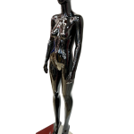 Black Female Full Body Mannequin