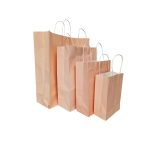 Light Pink Hand Carry Paper Bags - Image 2