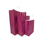 Purple Hand Carry Paper Bags