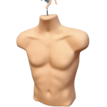 Male Half Body Hanging Body Form