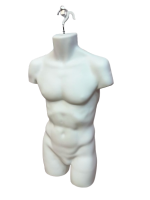 Male Upper Body Hanging Body Form - Image 2