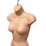 Female Full Body Hanging Body Form