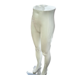 Female Leg Mannequin for Bottom Wear Display