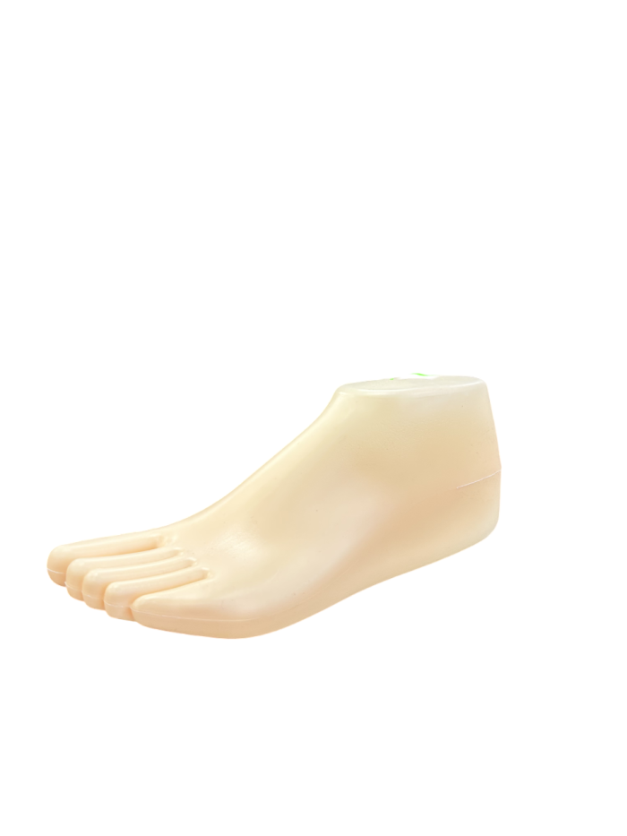IMG_1810-Photoroom Plastic Mannequin Foot Display - Small - Image 1