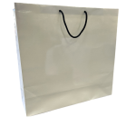 Shiny White Paper Gift Bags