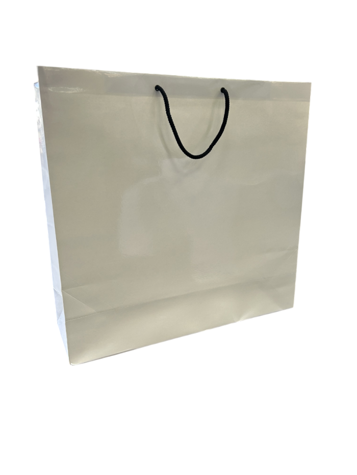 IMG_3082-Photoroom Shiny White Paper Gift Bags - Image 1