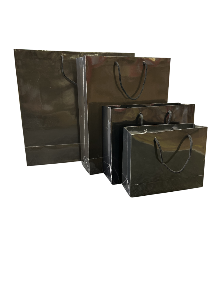 IMG_3094-Photoroom Shiny Black Paper Gift Bags - Image 1