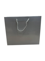 Glossy SIlver Paper Gift Bags - Image 2